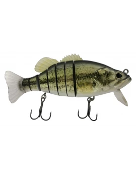 SWIMBASS 6"