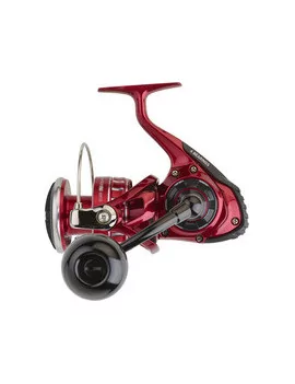 Moulinet DAIWA BG RR LT 3000 D XH ARK