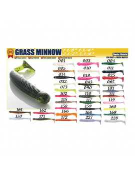 Grass minnow M