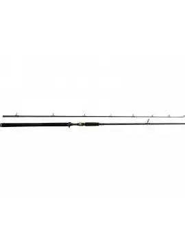 W3 Powercast-T 2nd 248cm XXH 40-130g