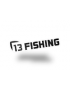 13 Fishing